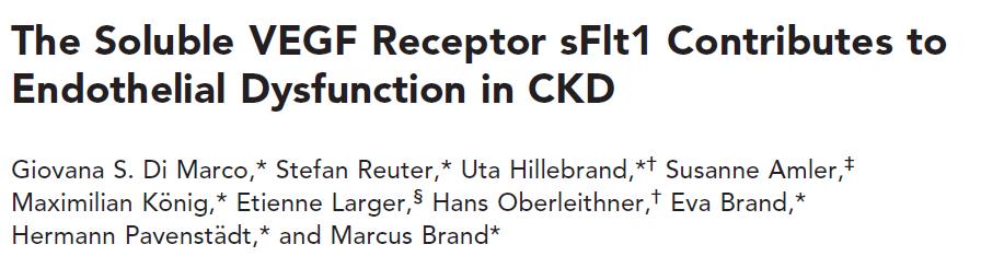 anti-angiogenic effect of CKD serum