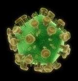 immune system A virus that replicates inside the human