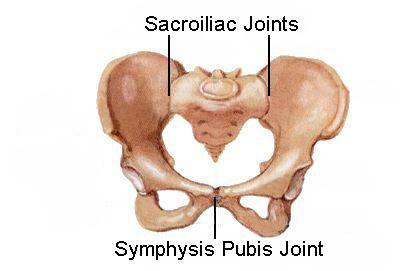 Two types o Synchondroses Sternocoastal joints,