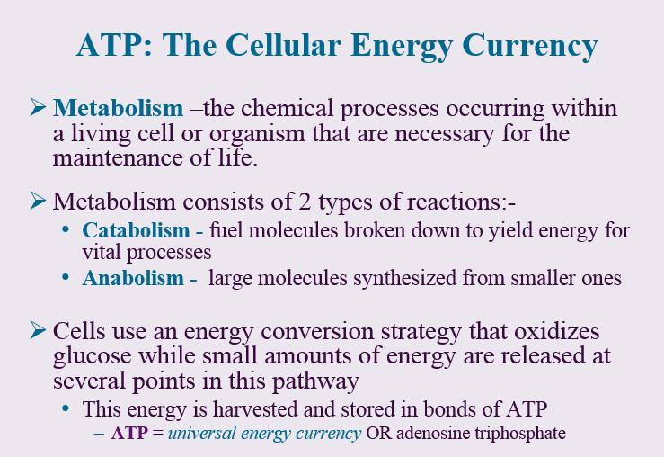 1. Define metabolism Metabolism - The chemical processes by which cells produce the substances and energy needed to sustain life.
