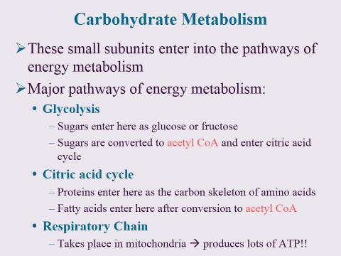 that serves as the foundation for both aerobic and anaerobic cellular respiration.