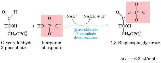 5. Triose phosphate mutase reaction: Conversion of Dihydroxyacetone phosphate to glyceraldehyde 3 Phosphate. I.