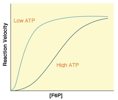 Bisphosphate Activate ATP