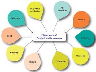 Hazardous Pesticides Air Pollution Mercury Arsenic Lead Chemicals of Public Health concern Asbestos Flouride Dioxin