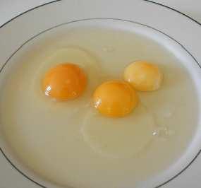 Free Ranged Egg Supermarket Egg Organic Egg The darker the yolk and the stiffer the white, the better.
