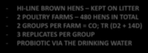 480 HENS IN TOTAL - 2 GROUPS PER FARM = CO; TR (D2 +