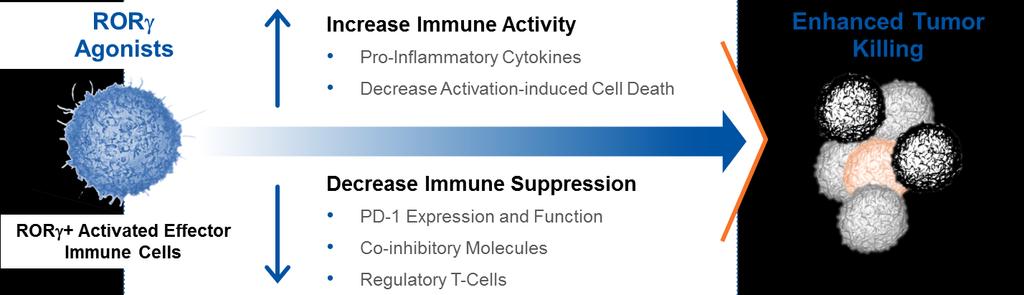 RORg Agonists Increase production of pro-inflammatory cytokines and chemokines Increase co-stimulatory and decrease