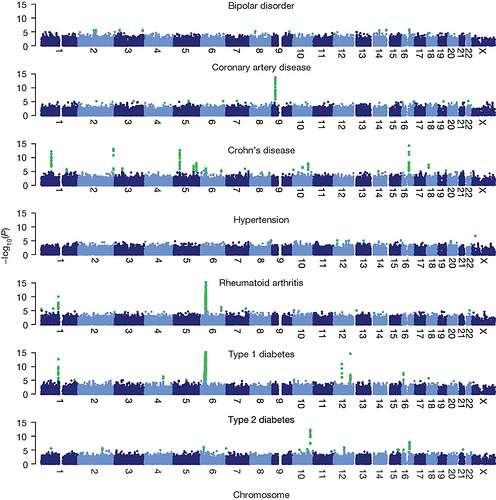 Genome-wide scan for associations of SNPs with each of the seven diseases.