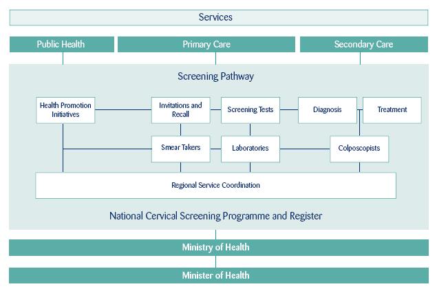 Appendix Cervical Screening Pathway: (source: Guidelines for Cervical Screening in New Zealand)