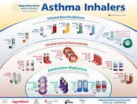 The Search for Biomarkers Asthma: complex, heterogeneous disease Endotypes are key Allergic and eosinophilic asthma endotypes are well-recognized How do we endotype asthmatics to provide the most