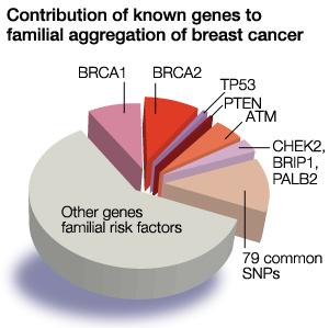 Genetic Risk and Guidelines Breast cancer risks associated with mutations in cancer predisposition genes identified by clinical genetic testing of 60,000 breast cancer patients Couch FJ, Hu C,