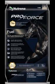 Empower Balance is a concentrated controlled starch ration balancer supplement to balance hay or grass diets.