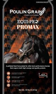 which provide long-term sustainable energy for endurance, performance horses and underweight