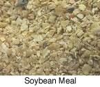 Feedstuffs that contain less than 20 percent crude protein are considered to be energy feeds. These include oats, corn, barley, wheat, sorghum, and rye.