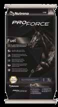 supplement Safe energy for