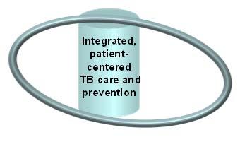 Pillar One Early diagnosis of TB including universal drugsusceptibility testing, and systematic screening of contacts and high risk groups Preventive treatment of persons at high risk and vaccination