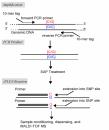 Slide 13 Multiplexed Mutation Assays Tumor Tissue Multiplex PCR Resected Specimen Core Biopsy SNaPshot (Applied Biosystem) Mass ARRAY SNP - Sequenom, Inc Dias-Santagata, EMBO Mol Med 2:146, 2010 10%