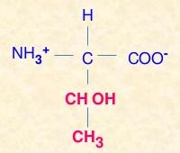 Alcohol group: CH 2 OH