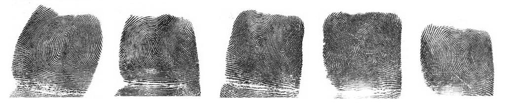 (a) and (c) are 10 fingerprint images of an