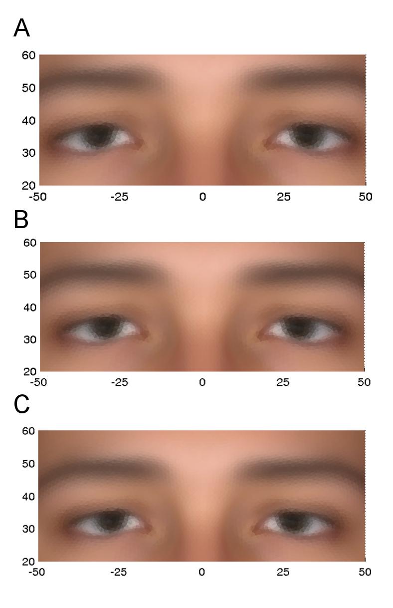Figure 4 PC1 eyes: Average eye phenotypes, using the original variables, for the upper 10% (A), the lower 10% (C) extremes, and the overall average (B).