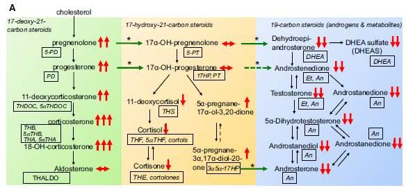 Hormone Therapy: Abiraterone (+ Prednisone) (aka Zytiga) Mineralocorticoids