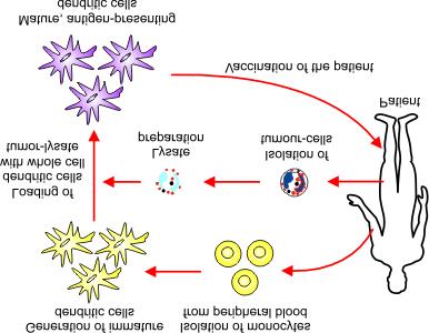 Autologous antigen