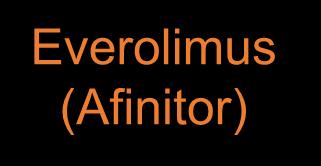 Everolimus(Afinitor): Targeting the PI3K / AKT / mtor Growth factors including IGF-1, VEGF, ErbB Everolimus (RAD001) is a novel oral inhibitor of the Ser/Thr kinase, mtor PI3K Oxygen, energy, and