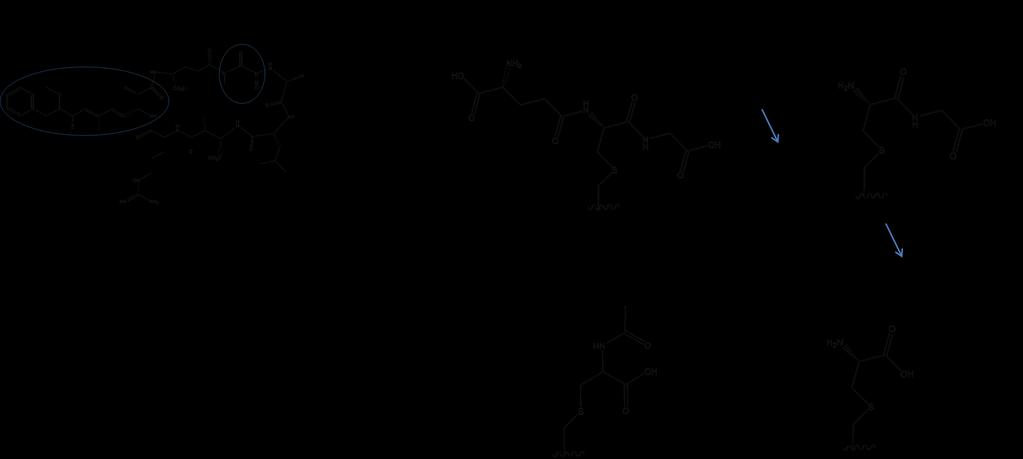 Toxins 2014, 6 3362 Figure 3. Glutathione metabolic pathway for microcystin-lr.