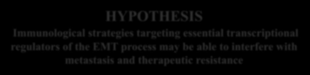 HYPOTHESIS Immunological strategies targeting essential transcriptional