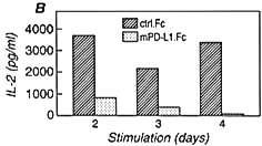 Interaction between IL-2 and PD-1 PD-1 inhibits IL-2 production by Activated
