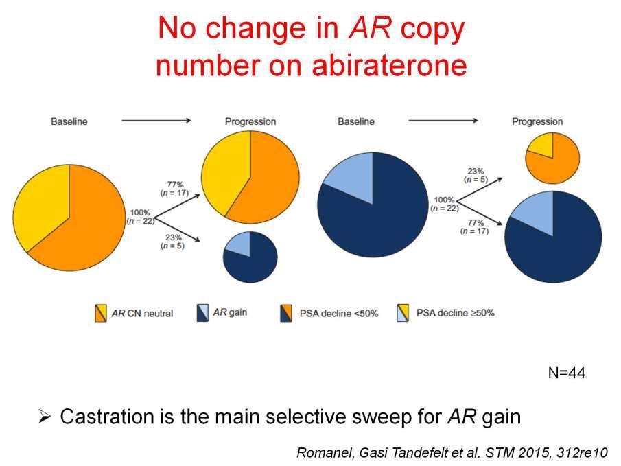 No change in AR copy <br />number on abiraterone Presented