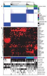 PAM50 Defined Intrinsic Subtype: Universal Language of Breast Cancer Independently Validated PAM50-based intrinsic subtyping has been independently validated by TCGA and published in Nature in