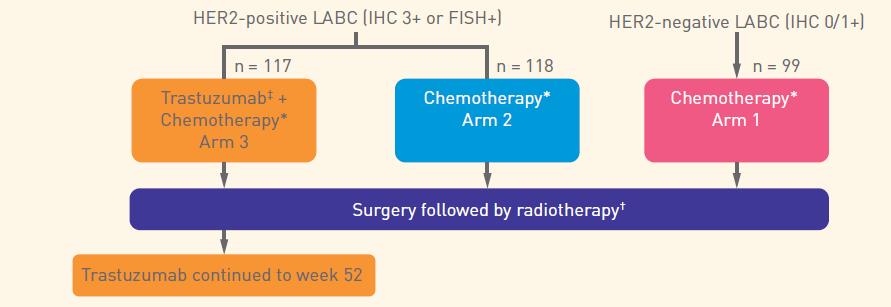 The HER2-enriched subtype is associated with higher responses and improved survival outcomes in HER2+ breast cancer in the NOAH study Chemotherapy: AT x 3 T x 4 CMF x 3 156 (46.
