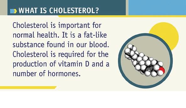 CardioSmart.org/High Why Matters You have undoubtedly heard much about cholesterol by now as in, too much of some kinds can be a bad thing for your heart s health. But what exactly is cholesterol?