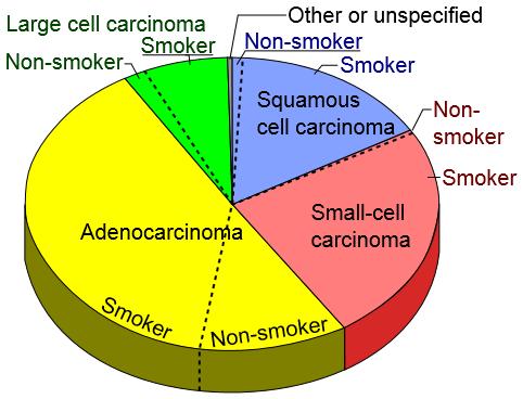 Lung Cancer Type Kenfield SA, Wei EK, Stampfer MJ, Rosner BA, Colditz GA (2008), Tobacco Control 17 (3): 198-204 46 Small Cell Lung