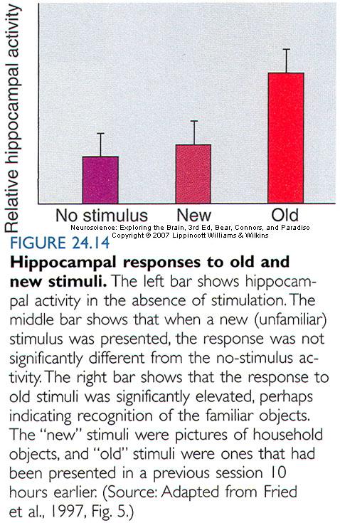 The Temporal Lobes and Declarative Memory Memory Functions of the Hippocampus Declarative