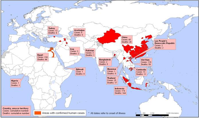 isolated from farmed goose in Guangdong Province, China 1997 Outbreaks of HPAI H5N1 reported in poultry at farms and live animal markets in Hong Kong Feb 2003 First known human infections with HPAI