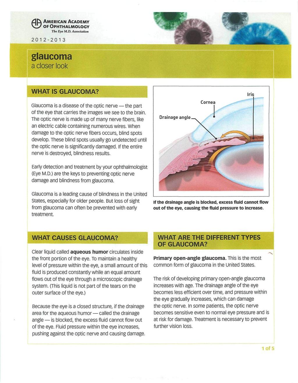 0AMERICAN ACADEMY OF OPHTHALMOLOGY The Eye M.D. Association 2012-2013 glaucoma a closer look WHAT IS GLAUCOMA?
