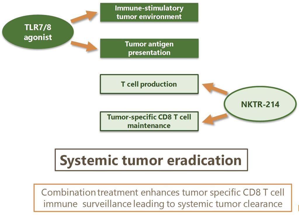 Comprehensive Activation of the Anti-Tumor Immune Cascade by NKTR-262 + NKTR-262 promotes rapid activation of intratumoral myeloid lineages driving tumor antigen
