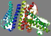Evolution of Nektar s Polymer Conjugation Technology