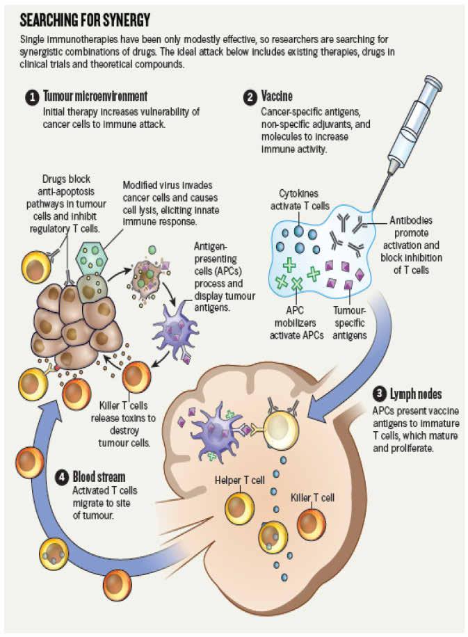 NATURE OUTLOOK. CANCER IMMUNOTHERAPY.