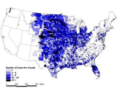 Equine WNV Cases by County 2002 Total cases = 14,740 Total cases now more from CO, FL but Co