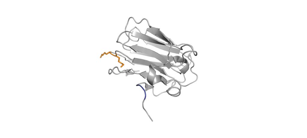 Figure S8 A Copies viral DNA/ 100 ng DNA (Log 10 ) 4 3 2 1 DNA