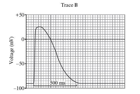 (c) Use Trace A to estimate the resting potential of this neuron. [1] (d) (i) Explain, in terms of movement of ions, what causes the rise in membrane potential seen in Trace A opposite.