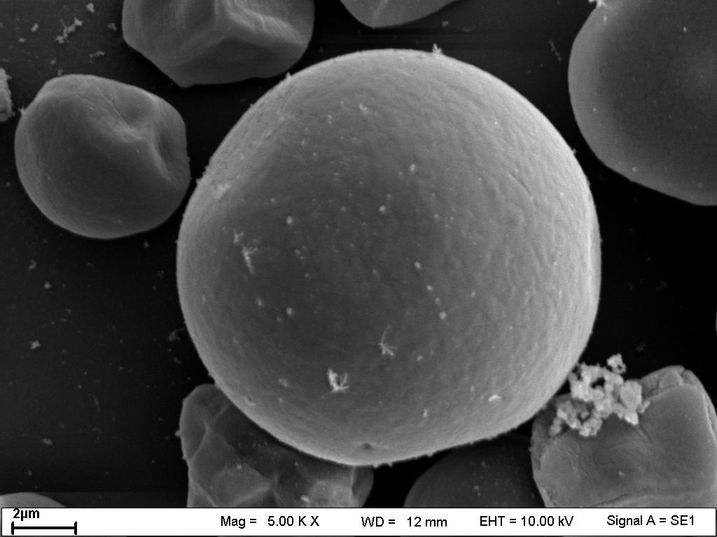 (Naguleswaran et al., 2012). The surfaces of hydrolyzed starch granule were extensively eroded.