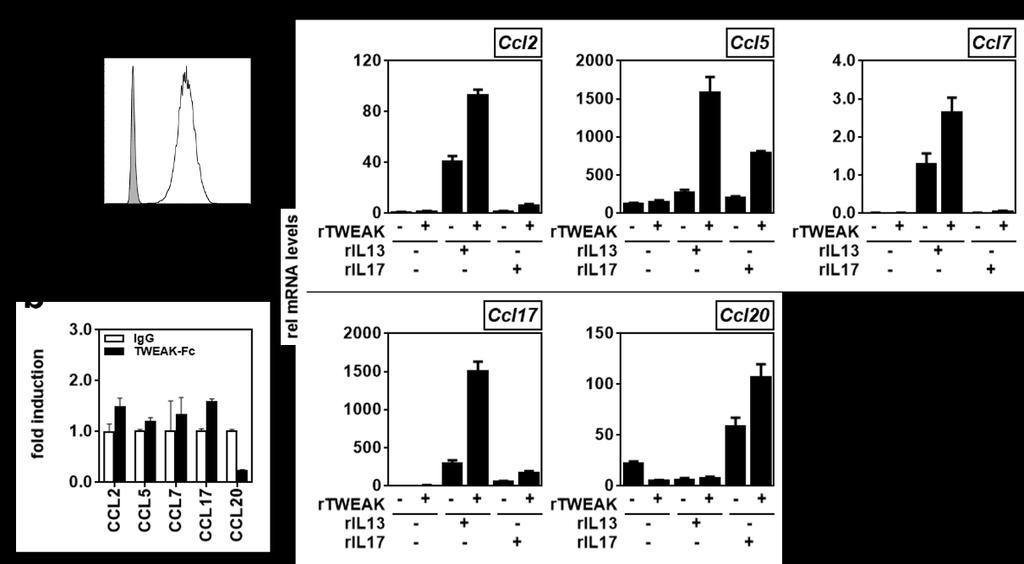 Supplementary Figure 4: Synergistic induction of chemokines by TWEAK, IL-13 and IL- 17A in murine keratinocytes.
