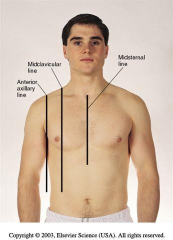 Reference Lines - Thorax Anterior chest mid sternal line
