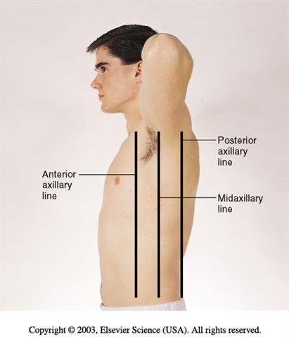 Reference Lines - Thorax Lateral chest mid axillary line
