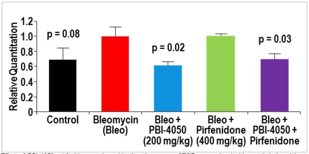 Effect of treatment regimen on inflammatory/pro-fibrotic cytokines mrna expression in lung (Cont d) CTGF Effect of PBI-4050,