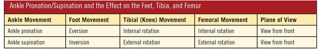 Ankle Pronation/Supination: Lower Extremity Effects Ankle pronation forces rotation at the knee and places additional stresses on the knee.